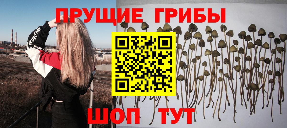 Галлюциногенные грибы MAGIC MUSHROOMS  Вход с VPN  Волжск 